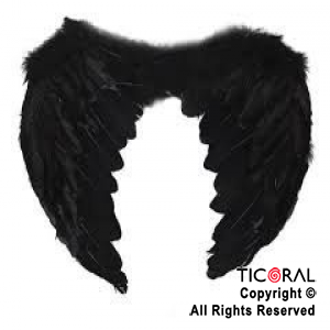 ALAS DE ANGEL CON PLUMAS NEGRAS 60 x40 cm  X 1